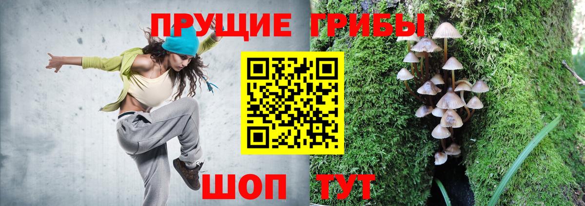 где купить наркотик  Галлюциногенные грибы Psilocybe  Вход с VPN  Бузулук 