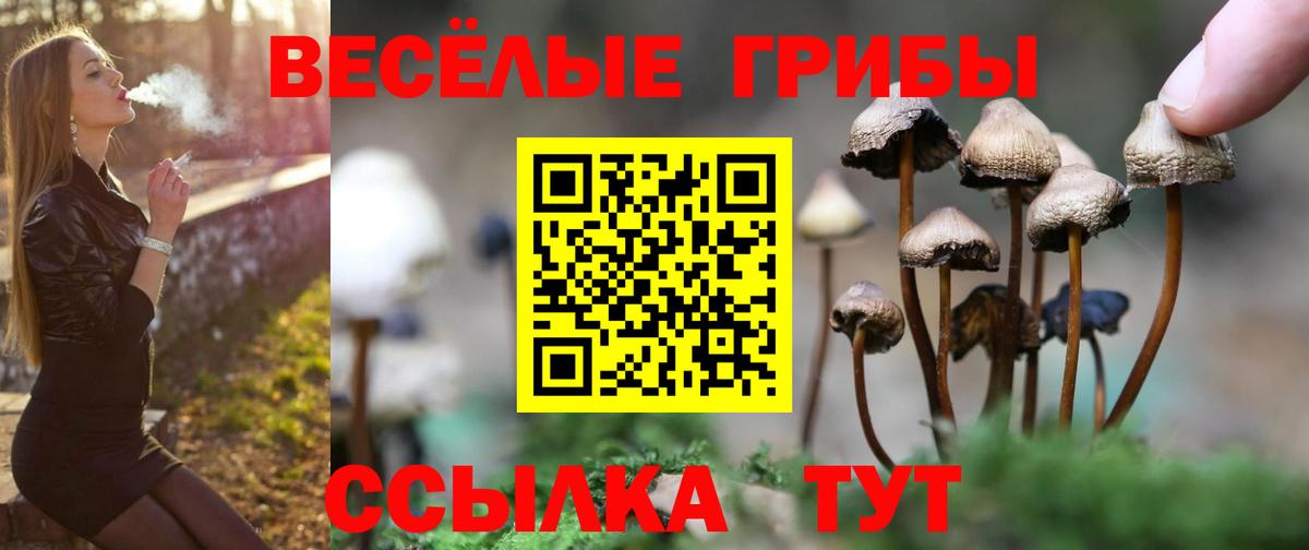 Галлюциногенные грибы Magic Shrooms Бузулук